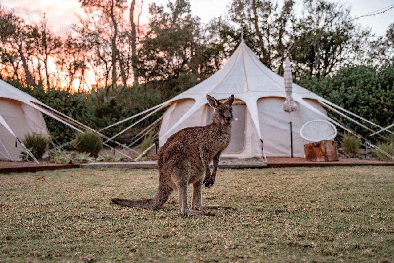 The Cove Jervis Bay Villa Luaran gambar